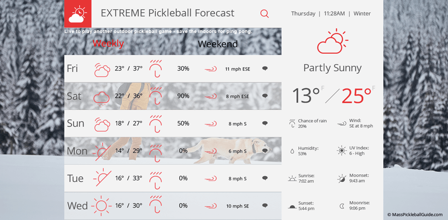 winter pickleball forecast